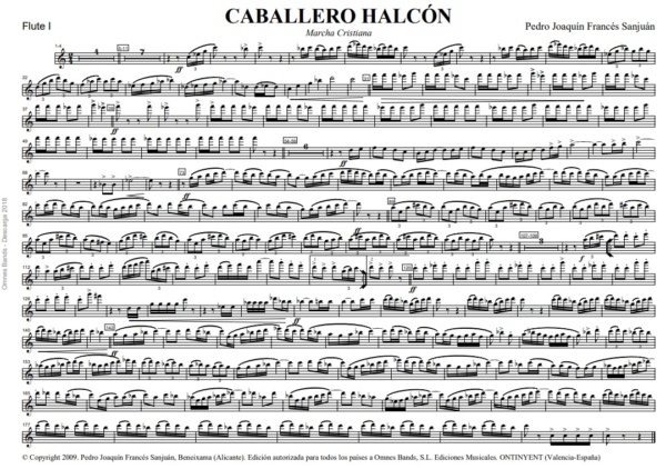 Caballero Halcón – Image 2