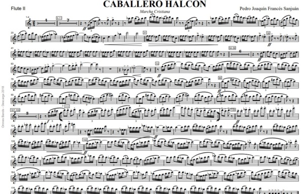 Caballero Halcón – Image 3