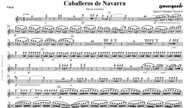 Caballeros de Navarra - Image 2