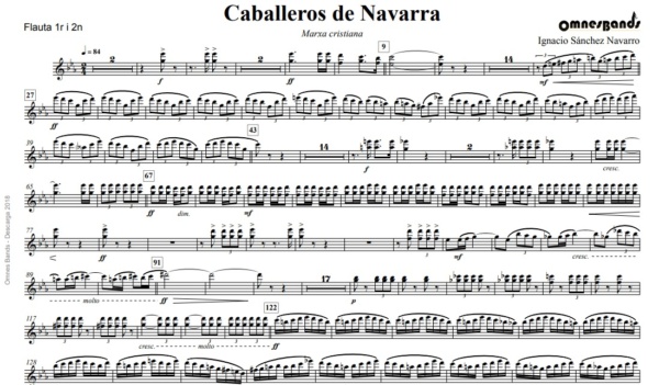 Caballeros de Navarra - Image 3