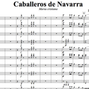 Caballeros de Navarra