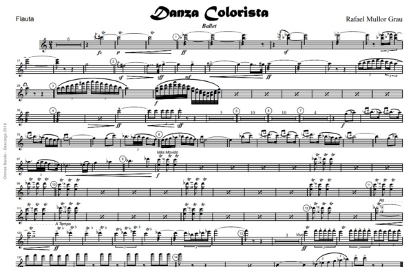 Danza Colorista - Image 2