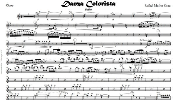 Danza Colorista - Image 3