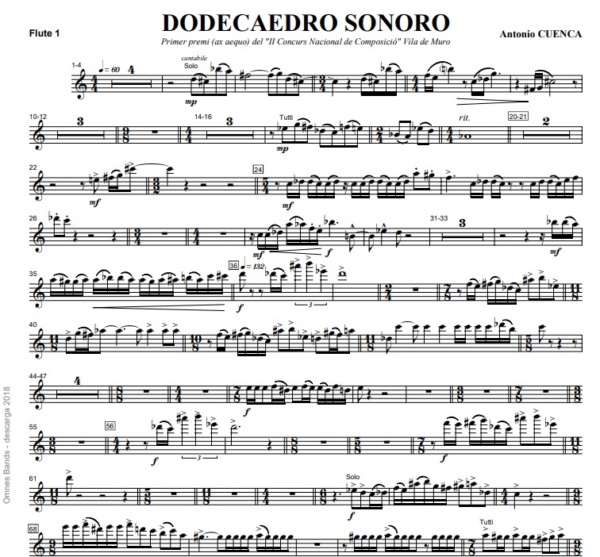 Dodecaedro Sonoro – Image 2