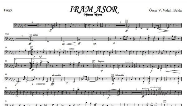 Iram Asor - 画像 (3)