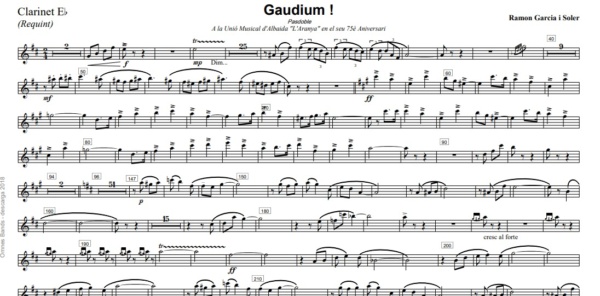 Gaudium - Image 3