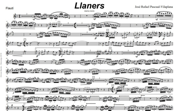 Llaners – Image 2