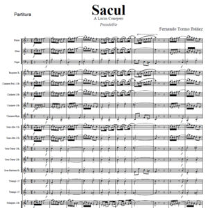 Sacul