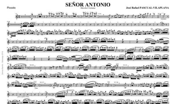 Señor Antonio – Bild 2