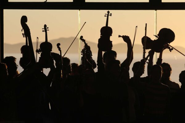 orchestra, opera, guitar-2770149.jpg